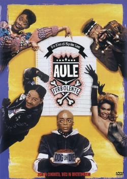 Aule Turbolente