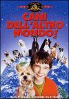 Cani Dell'Altro Mondo