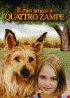 IL MIO AMICO A QUATTRO ZAMPE