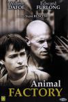 animal factory