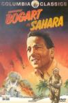 sahara