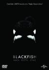 Blackfish