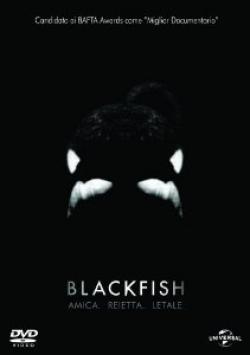 Blackfish