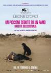 UN PICCIONE SEDUTO SU UN RAMO RIFLETTE SULL'ESISTENZA