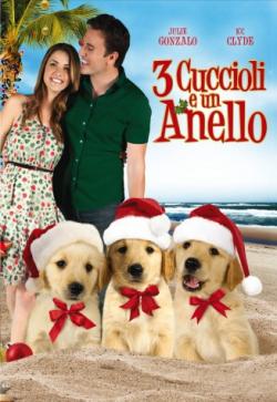 TRE CUCCIOLI E UN ANELLO