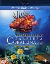 L'Affascinante Barriera Corallina - Prede E Predatori (Blu-Ray 3D+Blu-Ray)