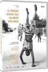 IL PAESE DOVE GLI ALBERI VOLANO - dvd
