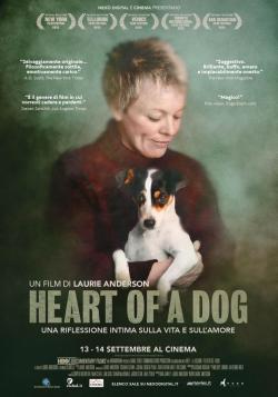 Heart of a dog