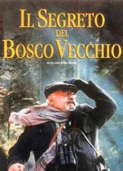 IL SEGRETO DEL BOSCO VECCHIO - dvd