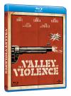 NELLA VALLE DELLA VIOLENZA (Blu-Ray)