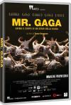MR GAGA