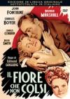 IL FIORE CHE NON COLSI
