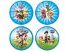 PAW PATROL PALLONE PVC
