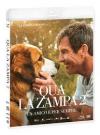 QUA LA ZAMPA 2 - UN AMICO E' PER SEMPRE COMBO
