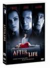 AFTER LIFE (LTD CAL)