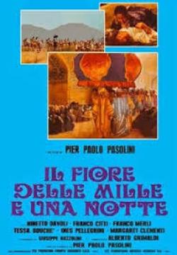 IL FIORE DELLE MILLE E UNA NOTTE (DS)