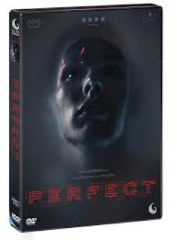 PERFECT (DS)
