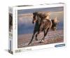 PZL 1000 HQC FREE HORSE