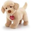TRUDI LABRADOR LIAM