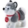 TRUDINO HUSKY