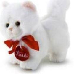 TRUDINO GATTO PERSIANO