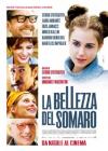 La bellezza del somaro