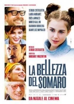 La bellezza del somaro