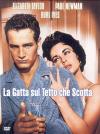 Gatta Sul Tetto Che Scotta (La)