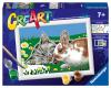 CREART SERIE E CLASSIC - RIPOSINO SUL PRATO