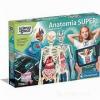 ANATOMIA SUPER