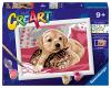 CREART BLANKET VUDDIES