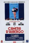 Camera D'Albergo